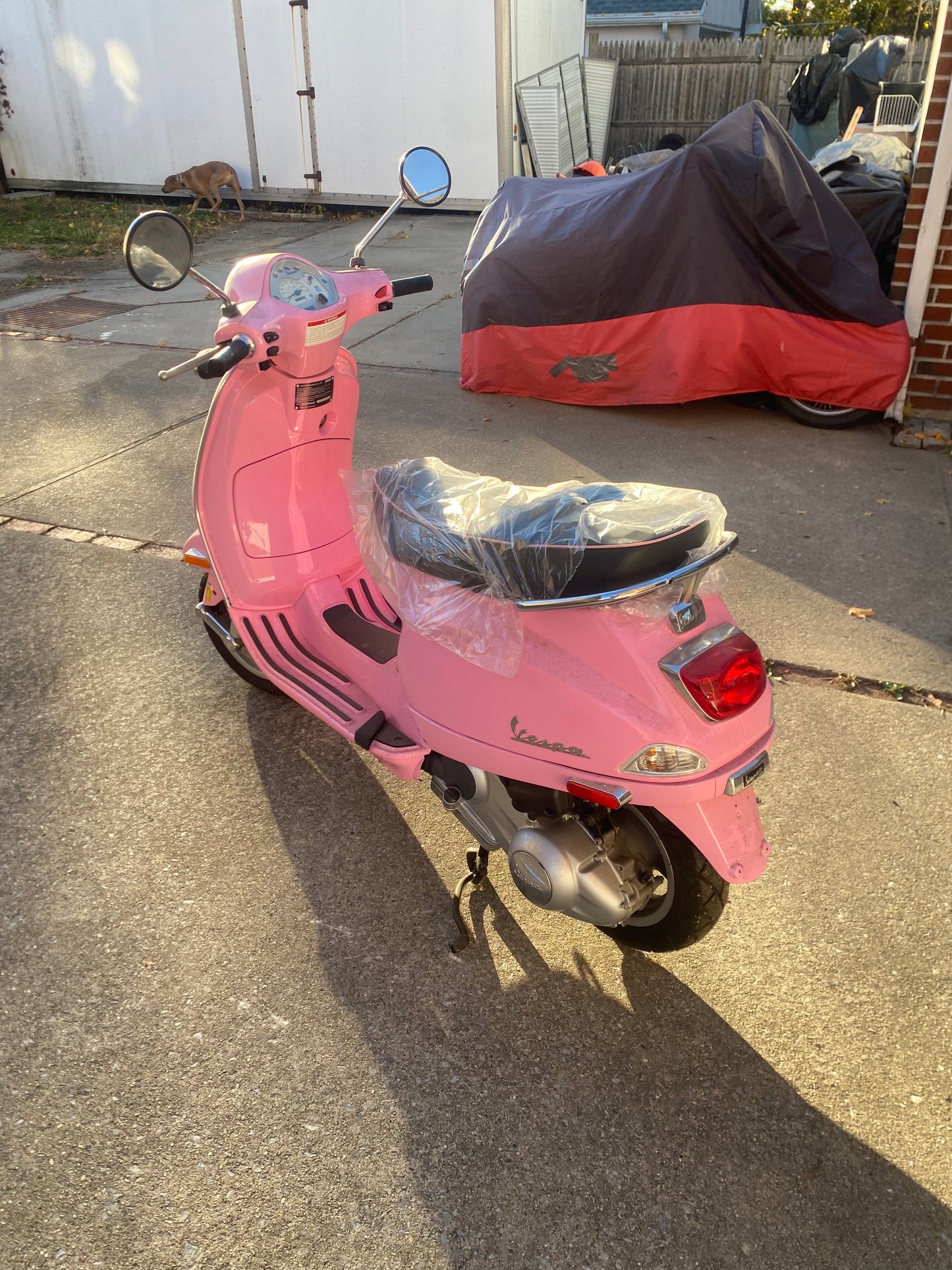 Pink Piaggio Vespa